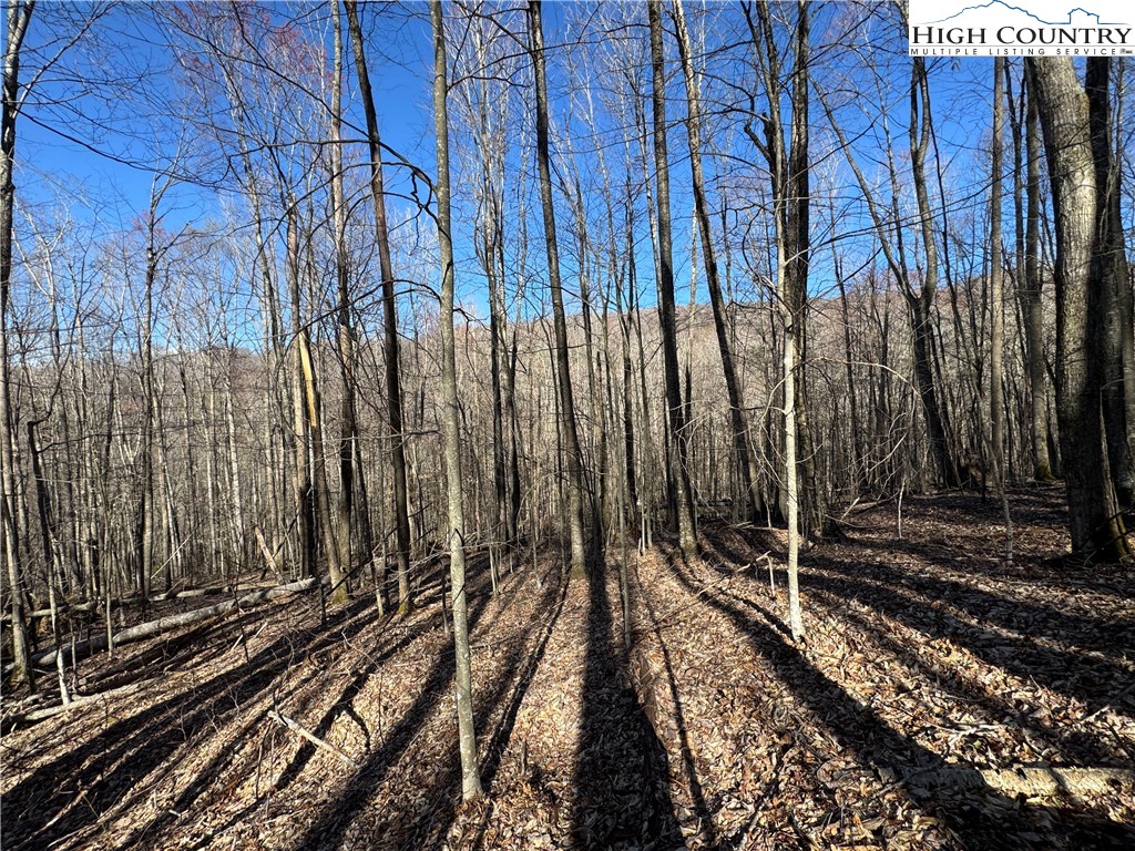 Lot 13 Larkspur Road Beech Mountain, NC 28604 - Photo 18 of 19 a view of a train yard