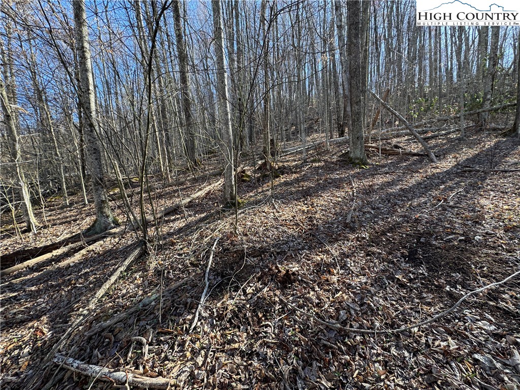 Lot 13 Larkspur Road Beech Mountain, NC 28604 - Photo 19 of 19 a view of a backyard with trees