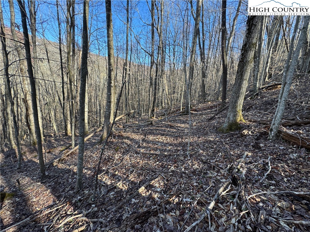 Lot 13 Larkspur Road Beech Mountain, NC 28604 - Photo 2 of 19 a view of outdoor space with wooden fence