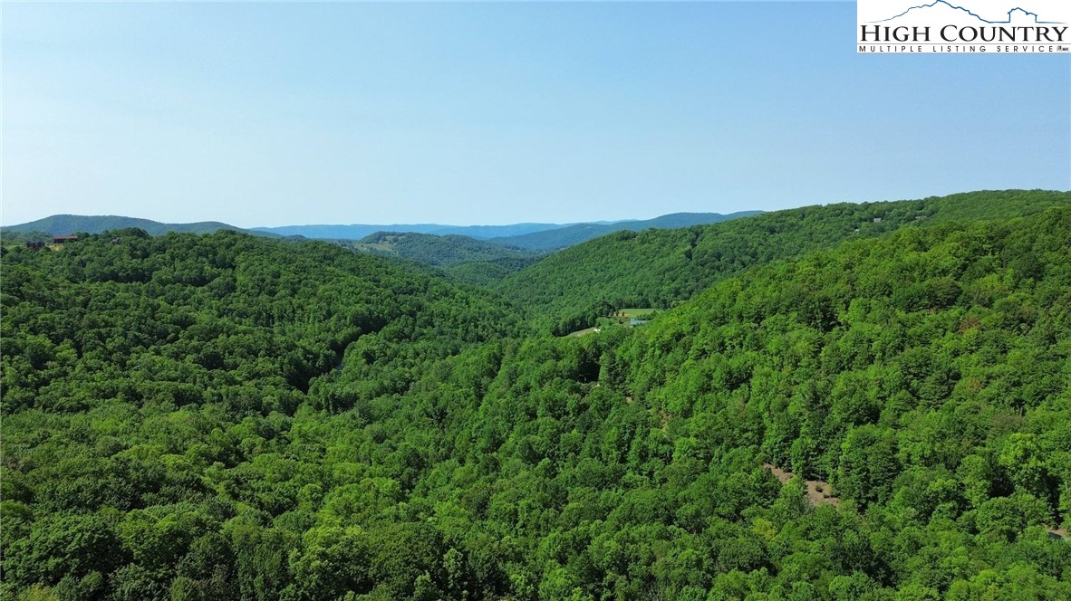 Lot 13 Larkspur Road Beech Mountain, NC 28604 - Photo 3 of 19 a view of a field of grass and basketball court