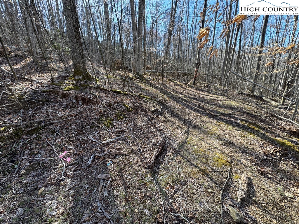 Lot 13 Larkspur Road Beech Mountain, NC 28604 - Photo 4 of 19 a view of a backyard with trees