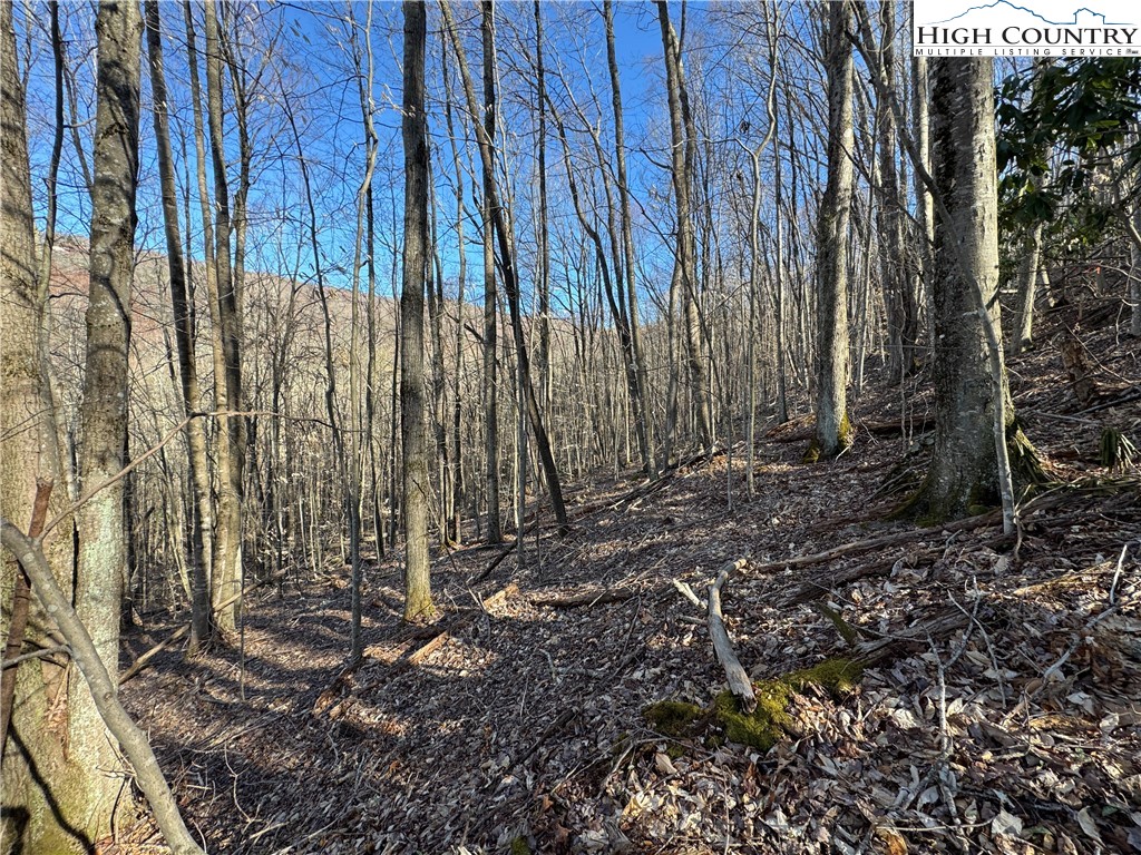 Lot 13 Larkspur Road Beech Mountain, NC 28604 - Photo 5 of 19
