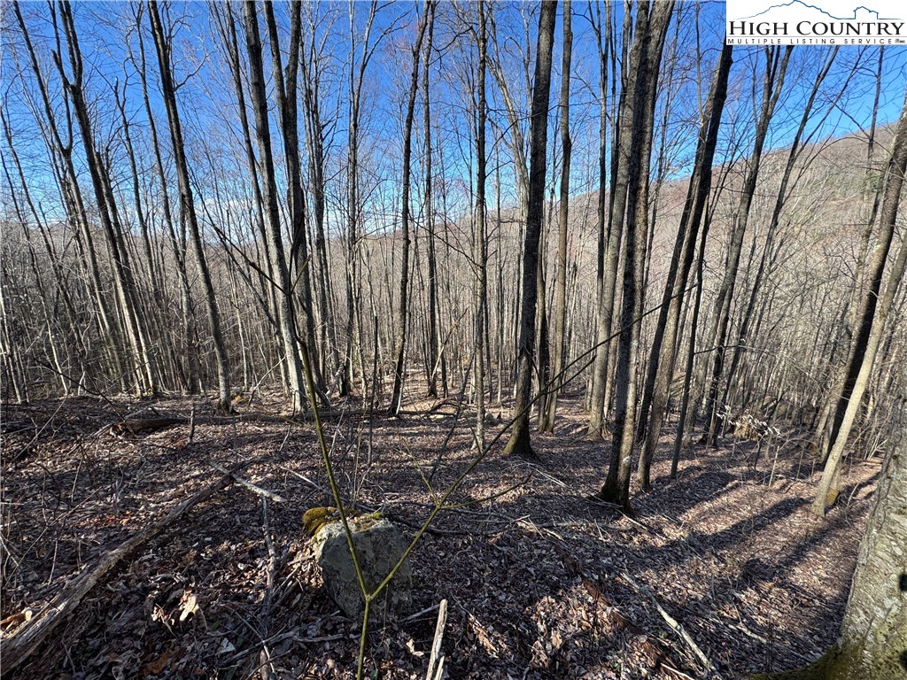 Lot 13 Larkspur Road Beech Mountain, NC 28604 - Photo 6 of 19 a view of a backyard with pathway