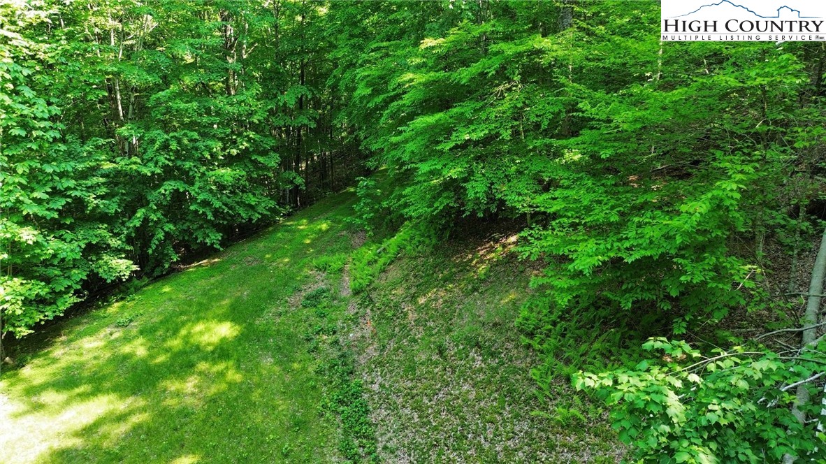 Lot 13 Larkspur Road Beech Mountain, NC 28604 - Photo 7 of 19 a view of a lush green forest