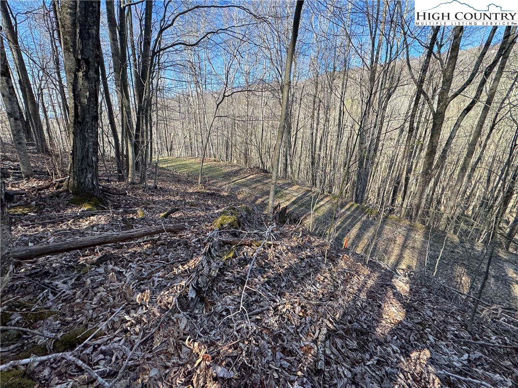 Lot 13 Larkspur Road Beech Mountain, NC 28604 - Photo 8 of 19 a backyard of a house with lots of green space