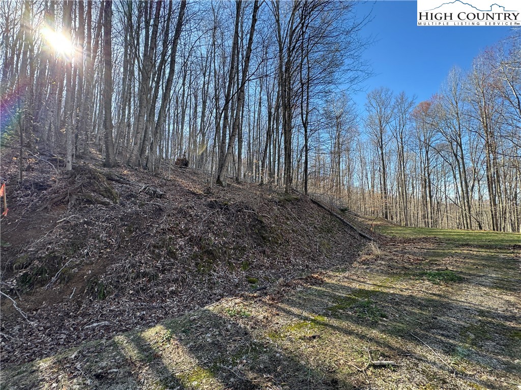 Lot 13 Larkspur Road Beech Mountain, NC 28604 - Photo 10 of 19 a view of a backyard of the house