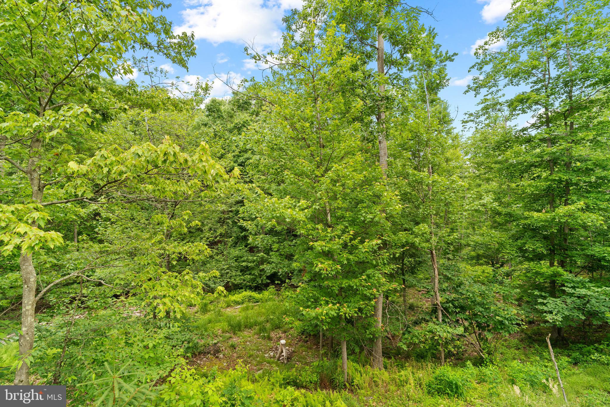 5957 Morgan Run Road West Decatur, PA 16878 - Photo 27 of 29