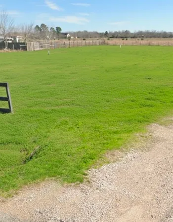 a view of an ocean from a yard