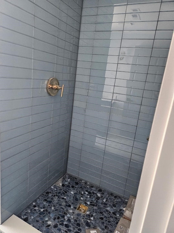 31 Homestead Street, Unit 2 Boston, MA 02121 - Photo 19 of 23 a bathroom with a shower