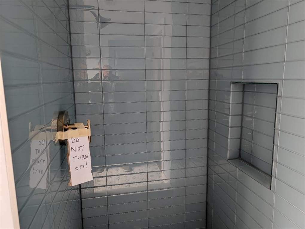 31 Homestead Street, Unit 2 Boston, MA 02121 - Photo 23 of 23 a bathroom with a shower