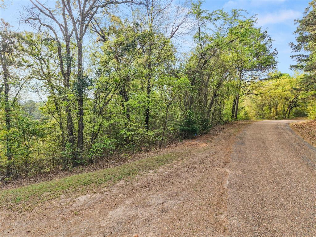 571 County Road Daingerfield, TX 75638 - Photo 7 of 34 Gallery Image 7