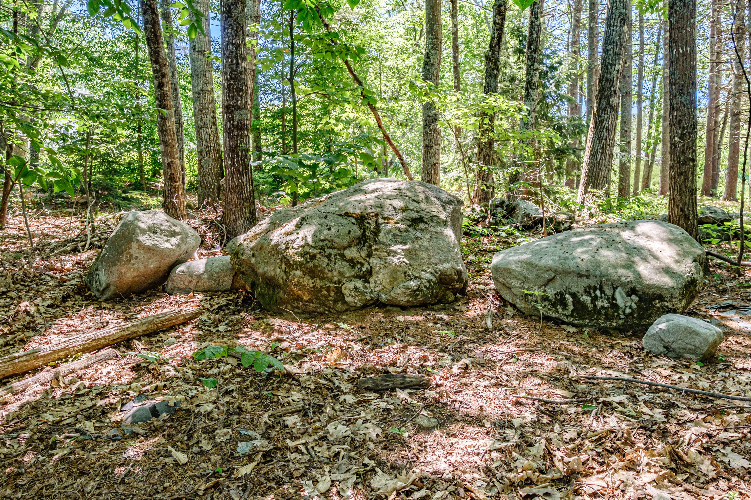 664 Duck Pond Road Westbrook, ME 04092 - Photo 61 of 62 20210624gp-62060