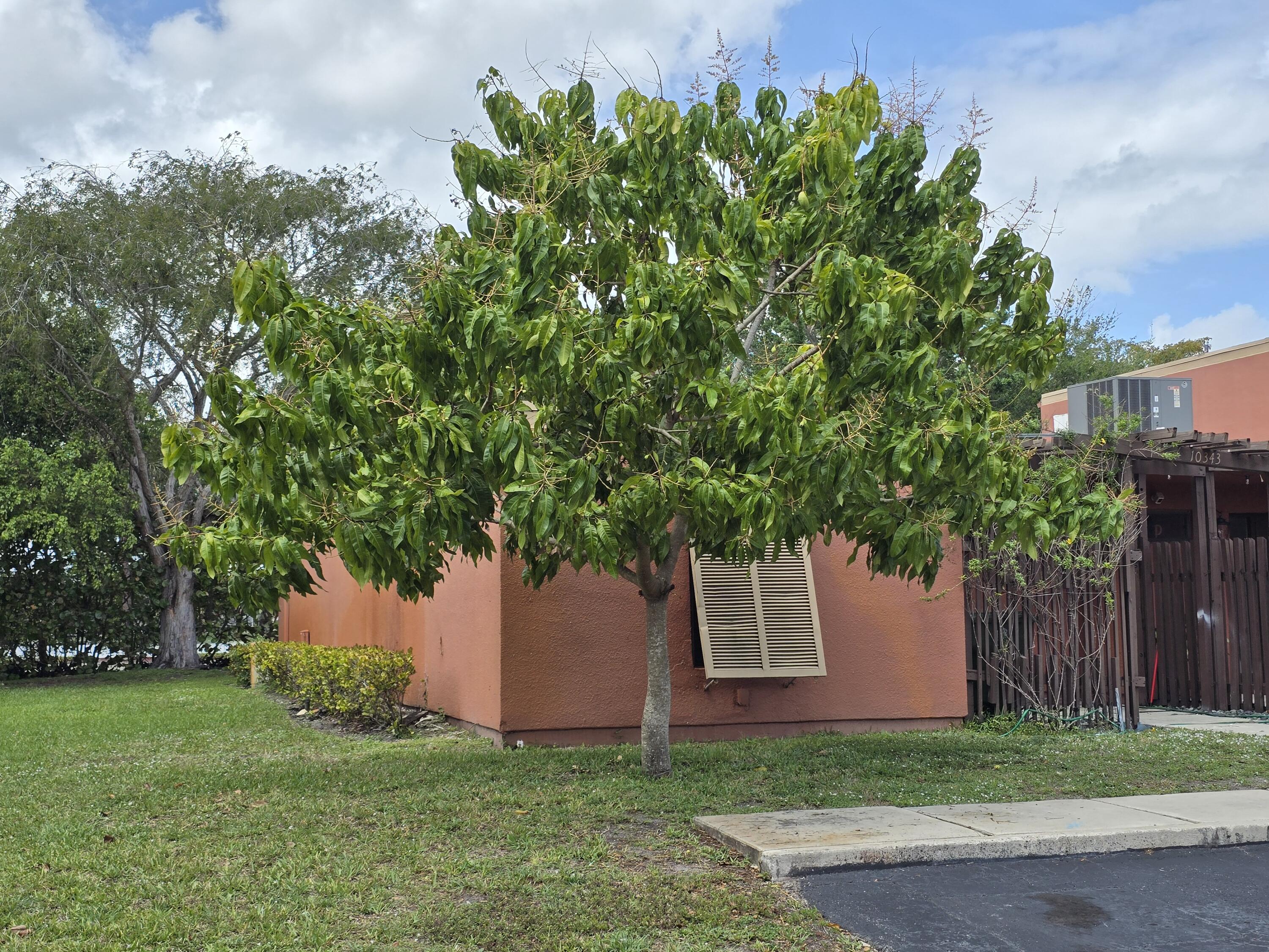 10343 Greenhouse Road Pembroke Pines, FL 33026 - Photo 10 of 42 1000051945