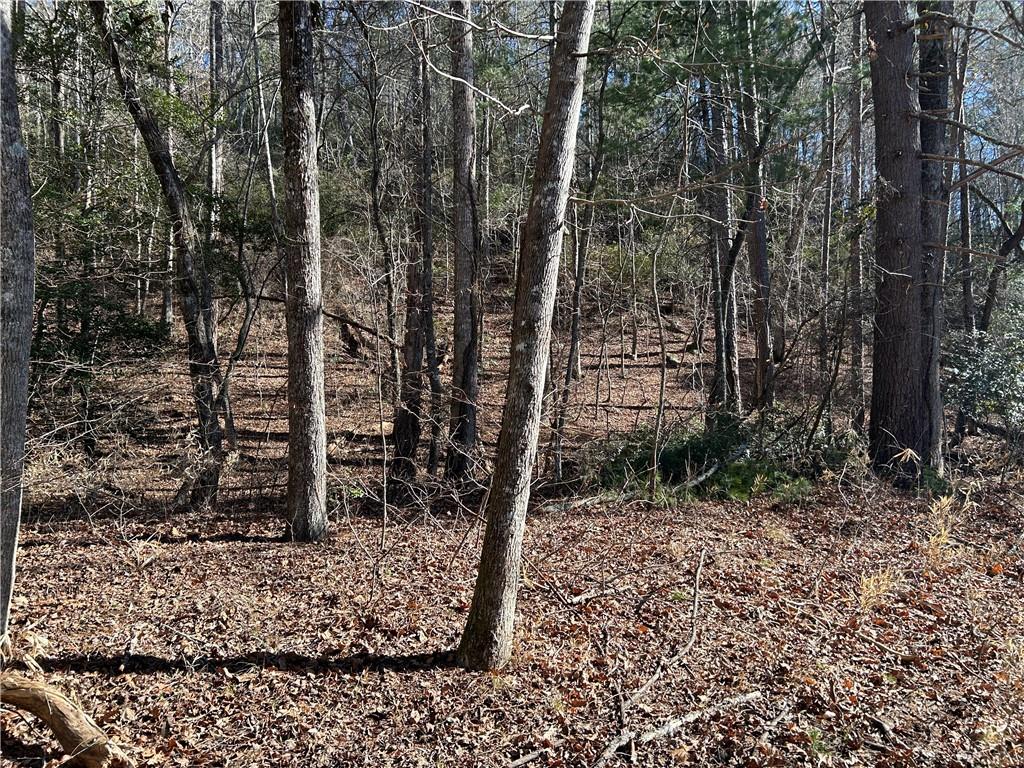 0 Twin River Orchard Road Demorest, GA 30535 - Photo 60 of 63