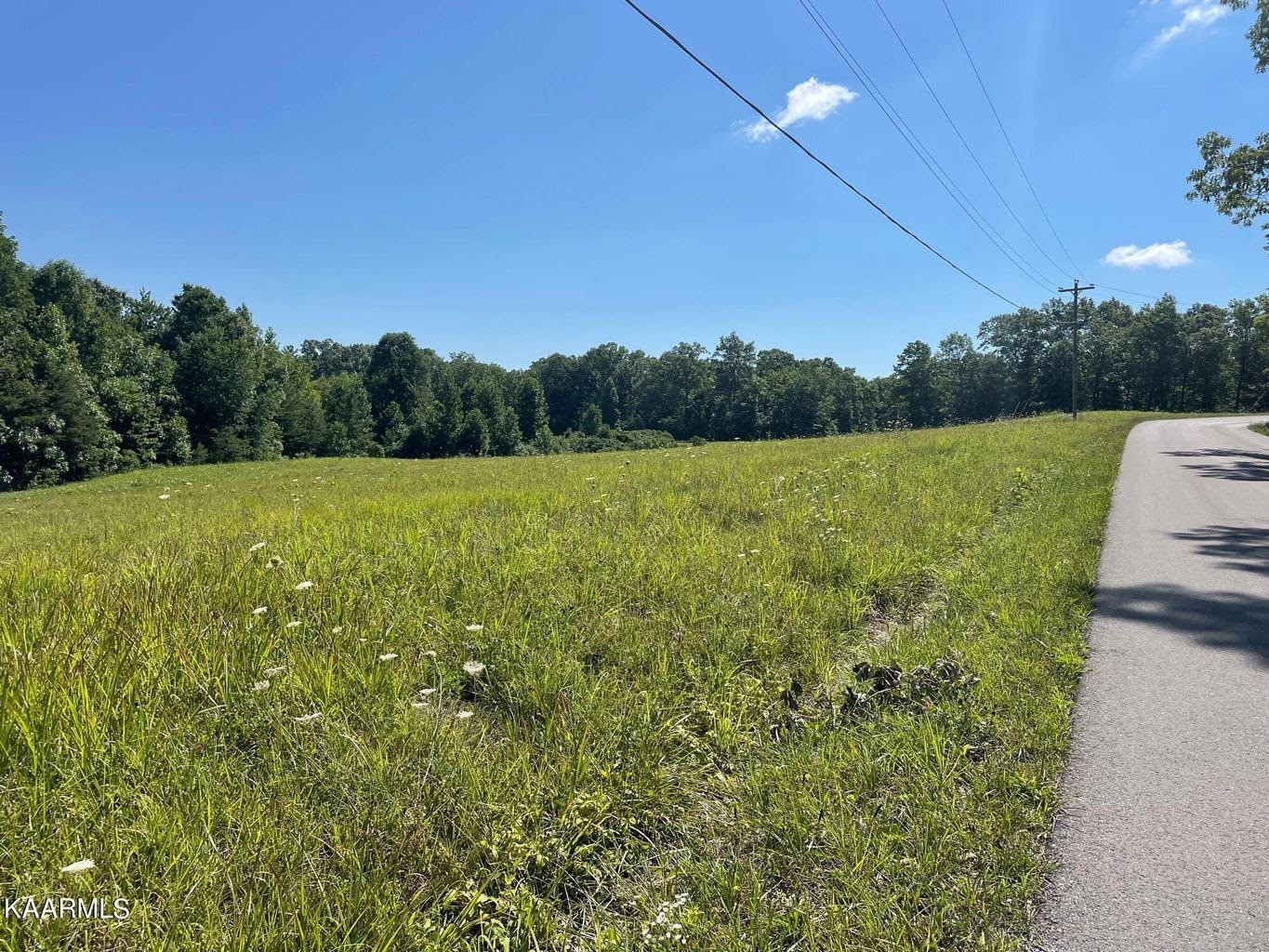 0 Press Beaty Road Jamestown, TN 38556 - Photo 1 of 4 Gallery Image 1