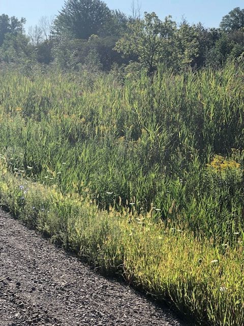 0 26 26 Mile Road New Baltimore, MI 48051 - Photo 3 of 3