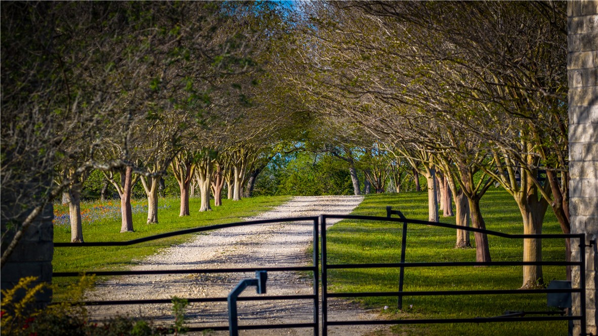 5107 Bovista Ranch Road Navasota, TX 77868 - Photo 10 of 49