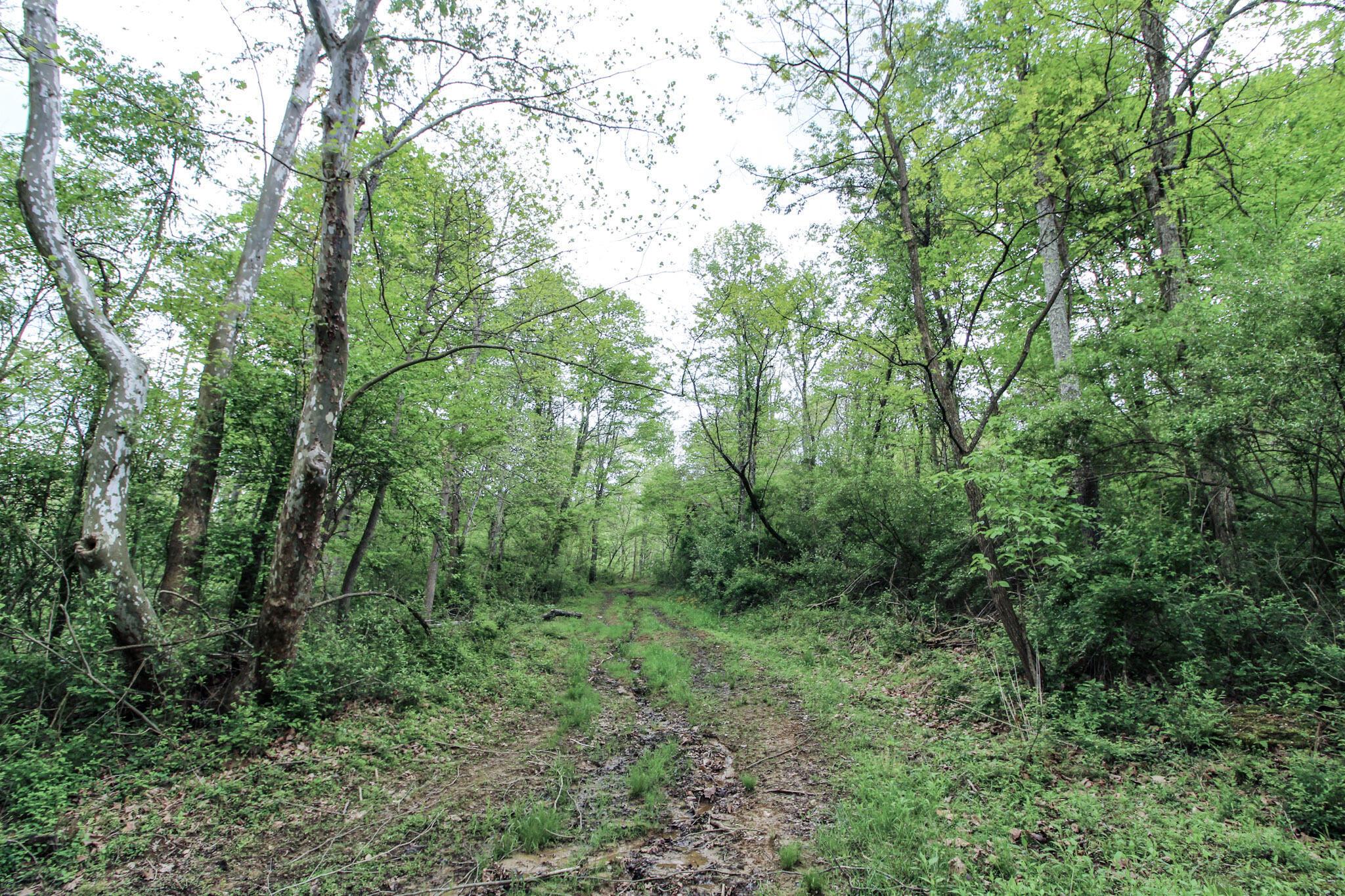 0 Dutch Ridge Road New Straitsville, OH 43766 - Photo 23 of 28 22