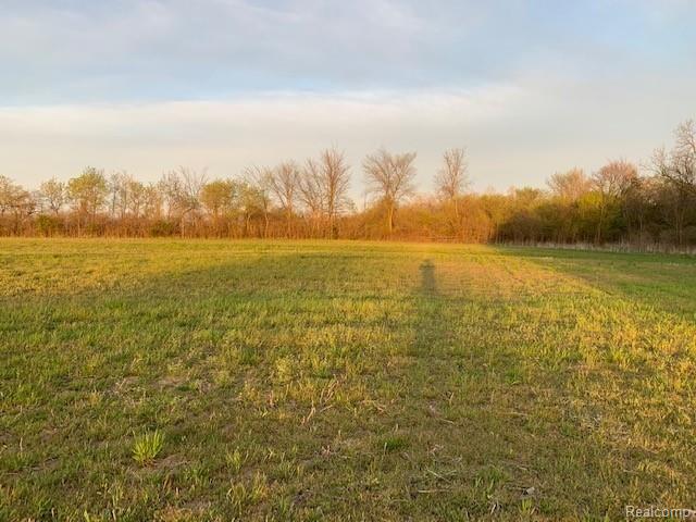 1 Exeter Road Carleton, MI 48117 - Photo 16 of 24 Gallery Image 16