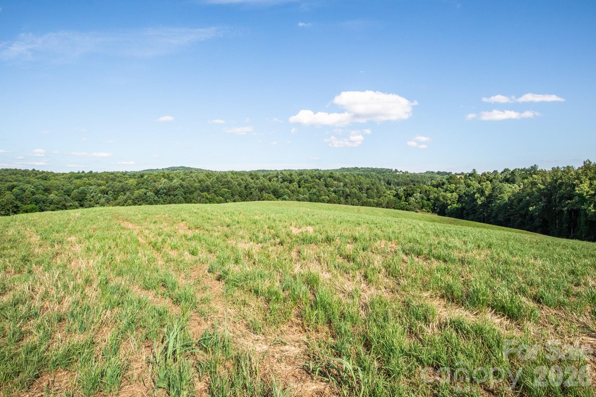 1779 Roundhill Church Road Traphill, NC 28685 - Photo 17 of 42