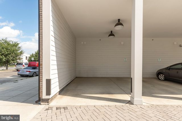 a view of a flower in a garden