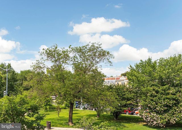 a green field with lots of trees