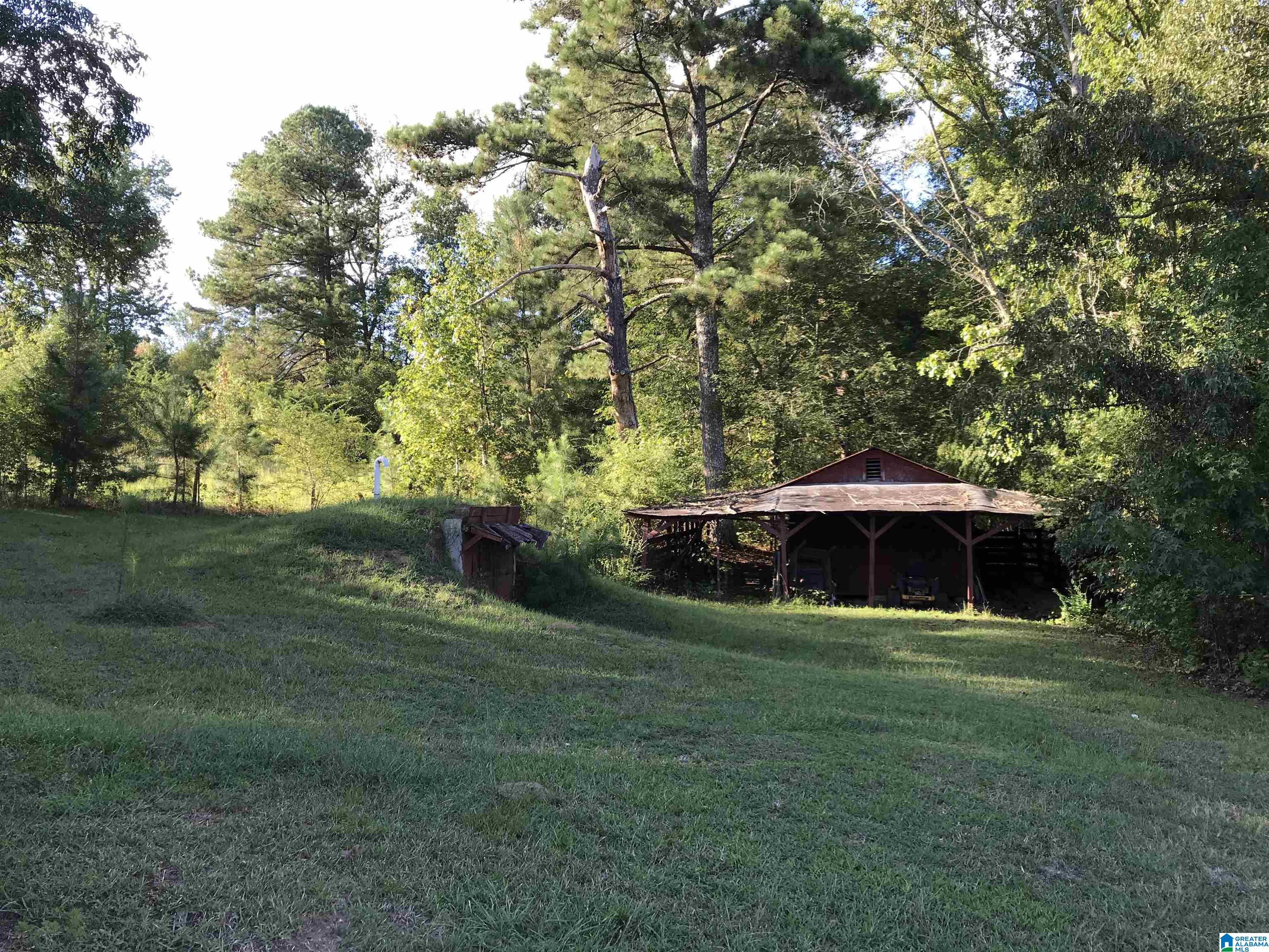 175 Boren Road Warrior, AL 35180 - Photo 14 of 19