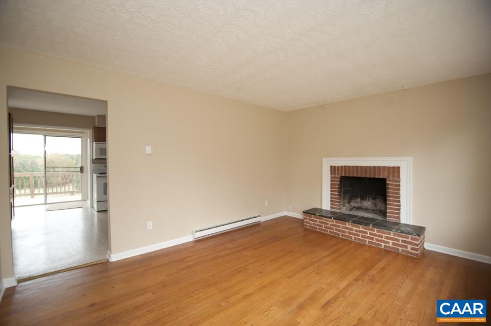 3880 Stony Point Road Keswick, VA 22947 - Photo 8 of 21 an empty room with windows and fireplace