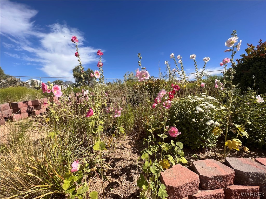 3824 Packsaddle Road Kingman, AZ 86401 - Photo 27 of 96 Gallery Image 27