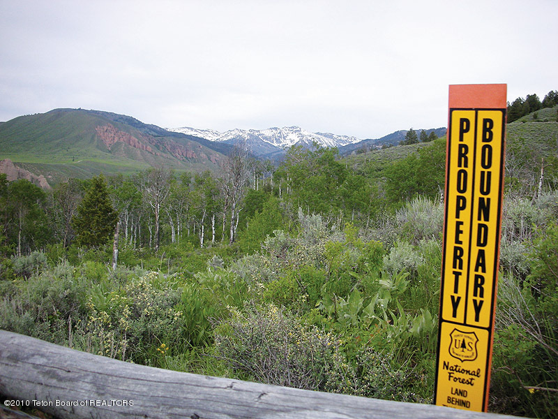 Bordering National Forest on two sides