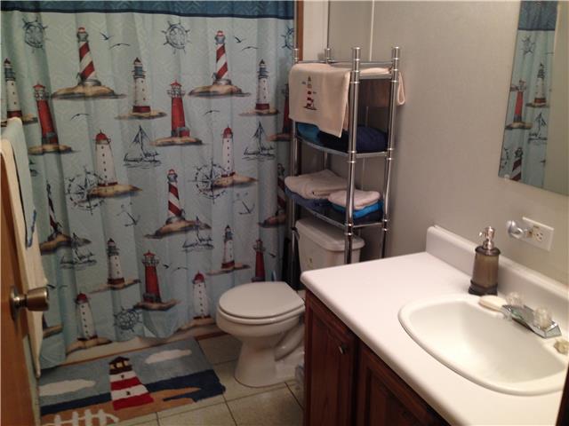 3832 Flewellyn Road Springfield, TN 37172 - Photo 12 of 19 a bathroom with a sink toilet and a mirror