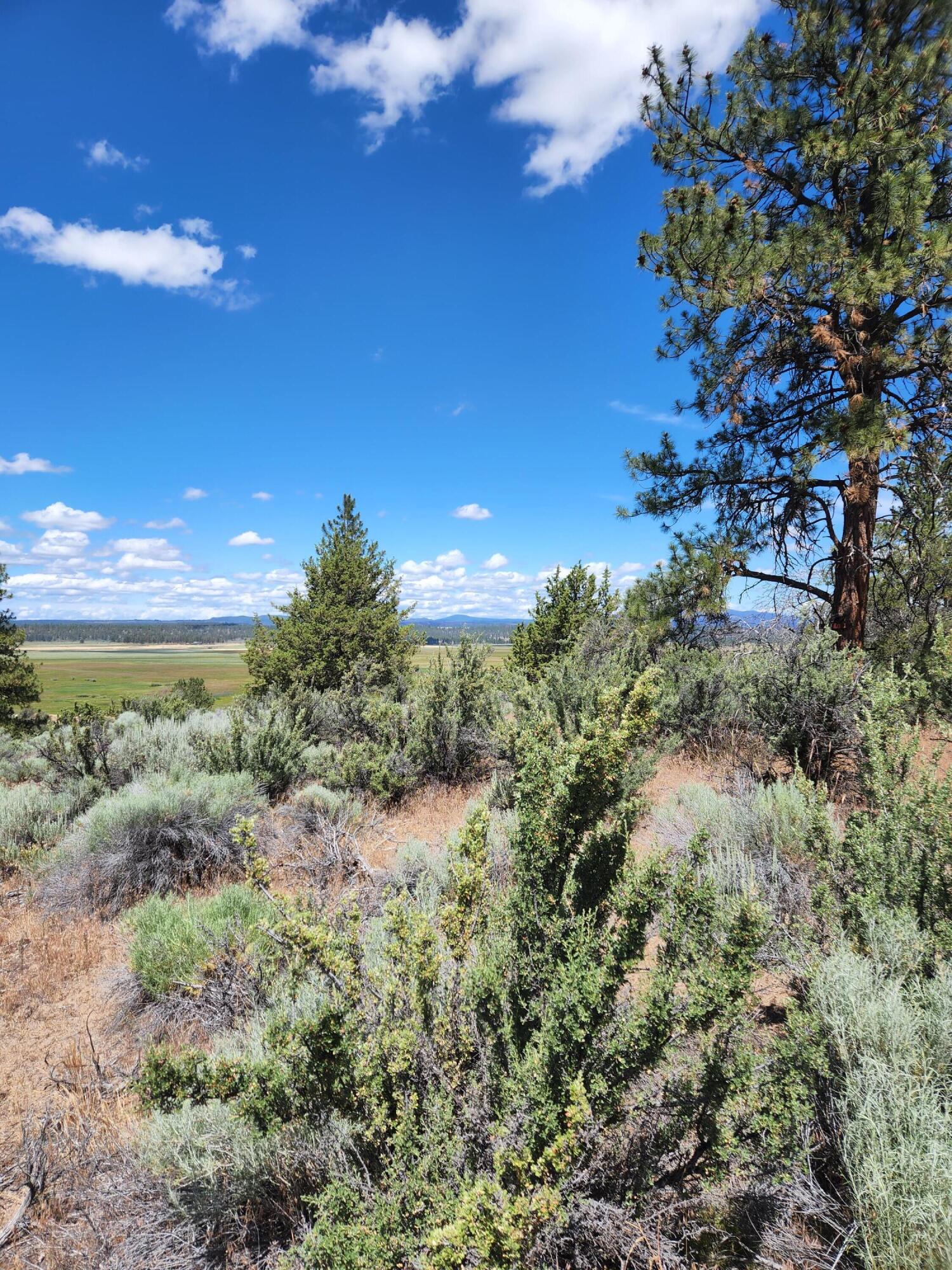Lot 10 Quarry Circle Beatty, OR 97621 - Photo 5 of 12 Quarry L10