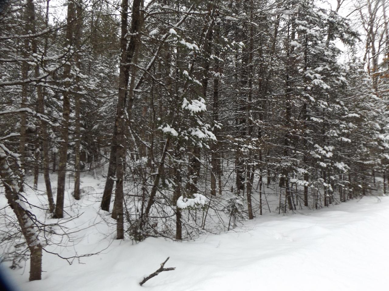 On Moon Road, Unit LOT #14 St. Germain, WI 54558 - Photo 9 of 11 Gallery Image 9