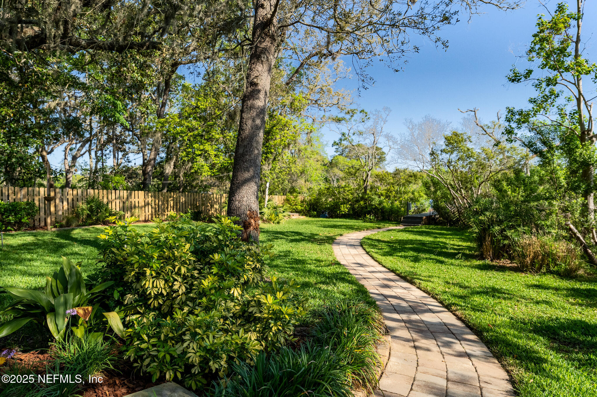 1836 Nightfall Drive Neptune Beach, FL 32266 - Photo 36 of 56 a view of a yard with plants and trees