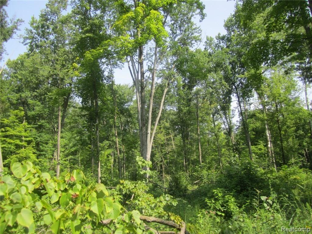 Vacant Hivon Road Carleton, MI 48117 - Photo 6 of 6