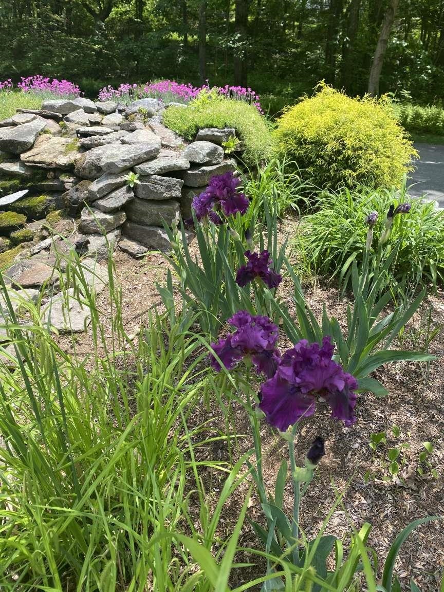 150 Witches Spring Road Hollis, NH 03049 - Photo 32 of 40