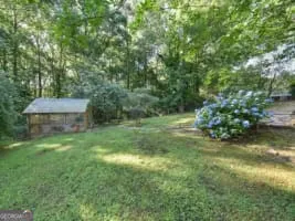 a view of a lush green space