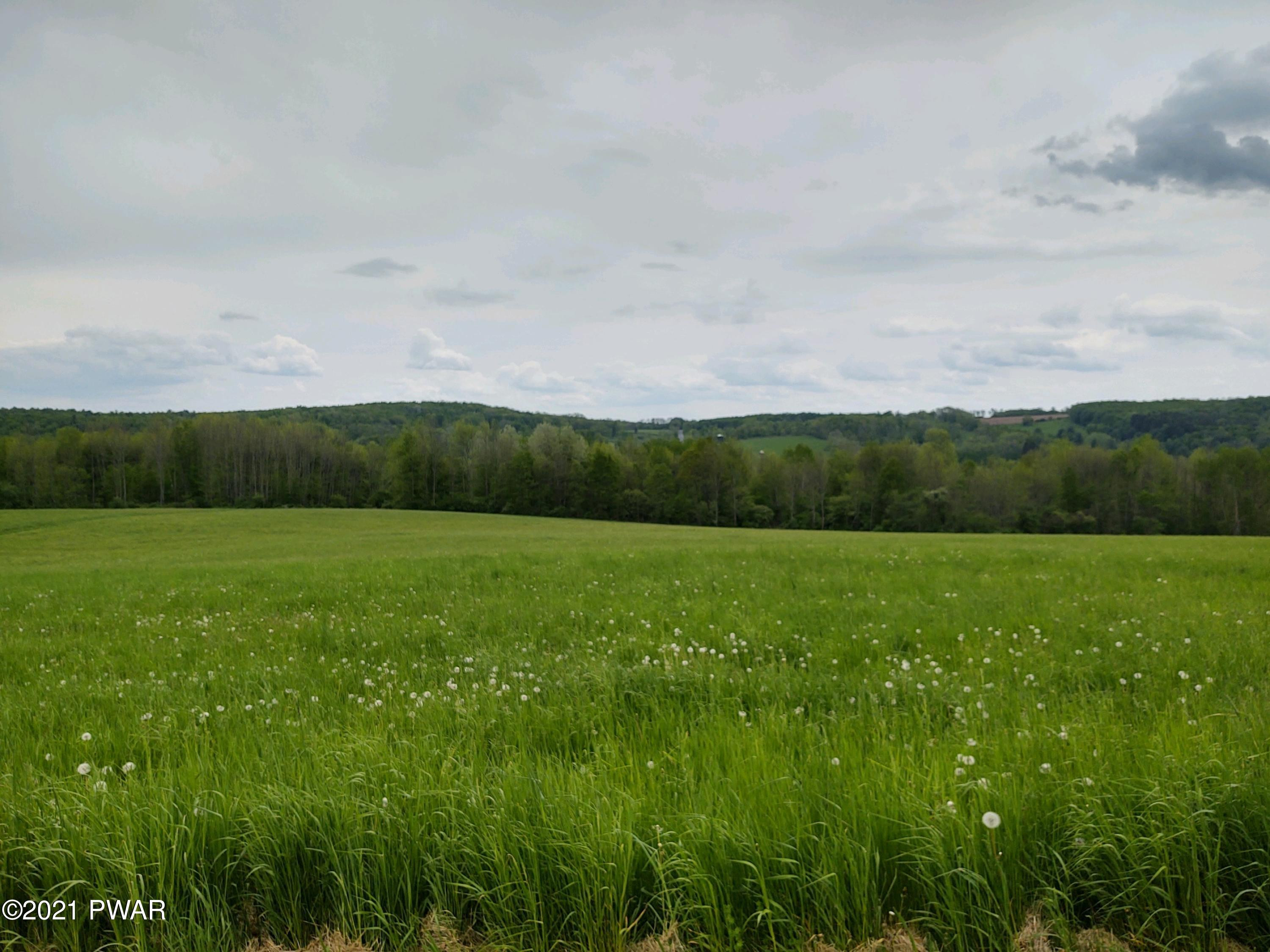 Joslyn Road Guilford, NY 13780 - Photo 2 of 11