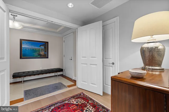 a room with a couch and a potted plant on the counter