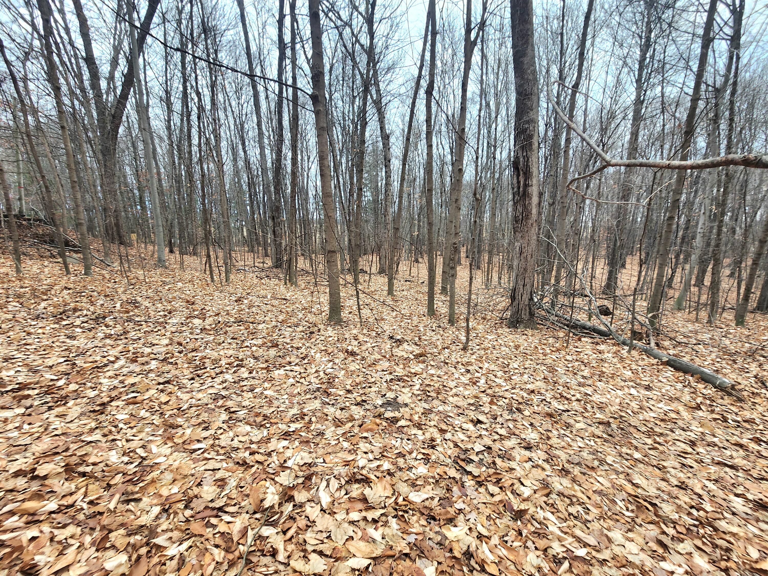 3750 North Hillman Road Stanton, MI 48888 - Photo 4 of 7 20221214_161121