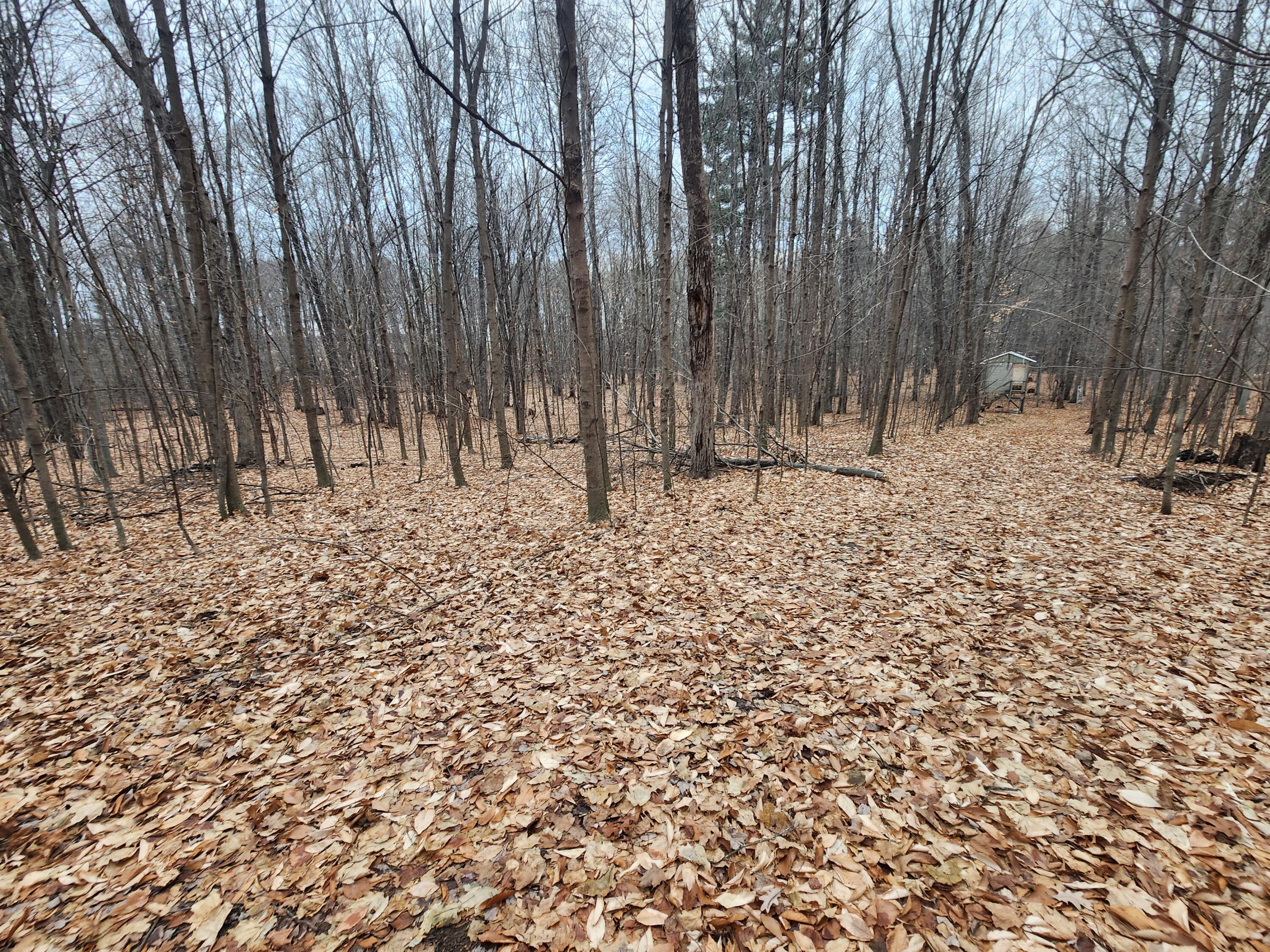 3750 North Hillman Road Stanton, MI 48888 - Photo 5 of 7 20221214_161053