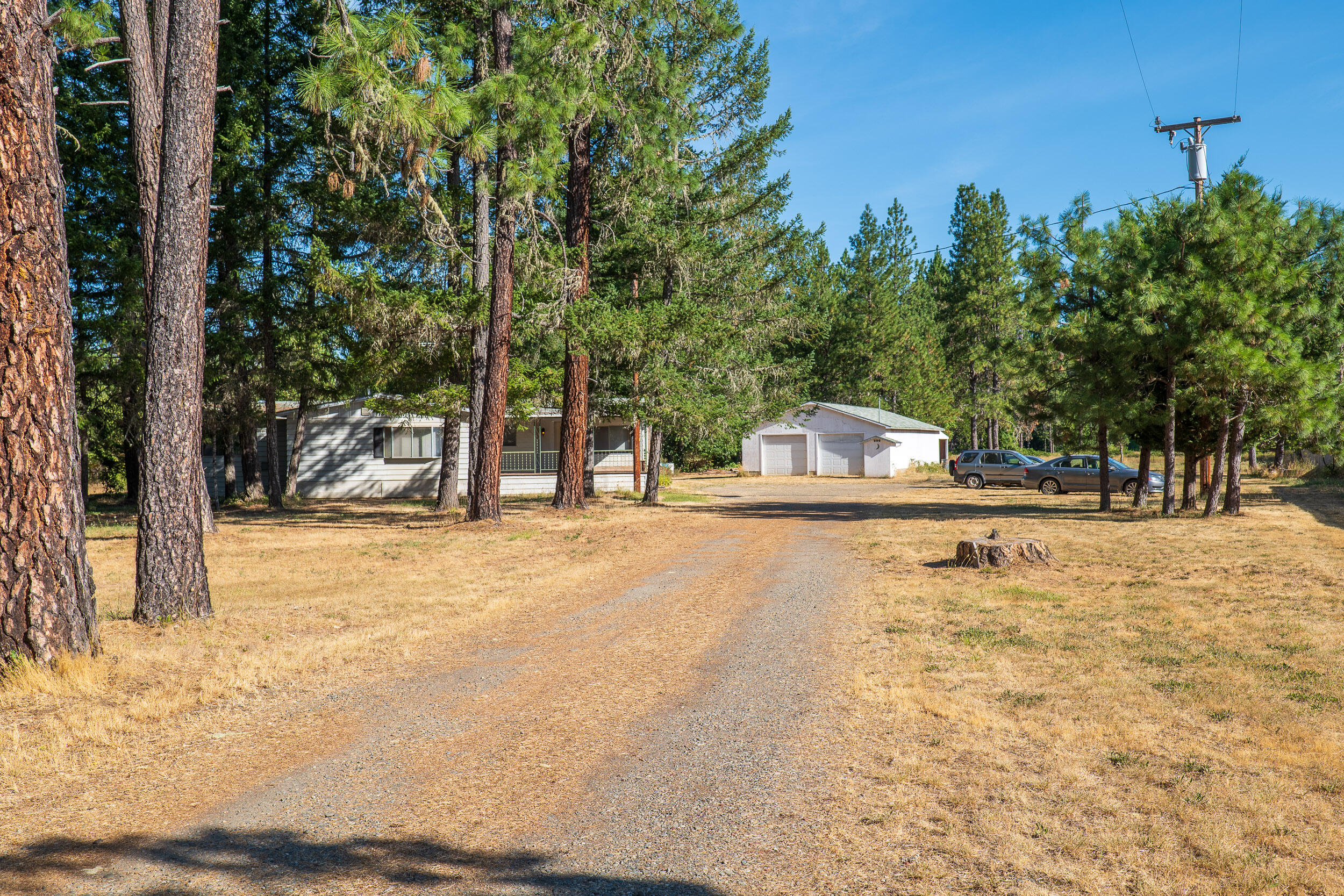 190 Martin Road Cave Junction, OR 97523 - Photo 1 of 43 Driveway View