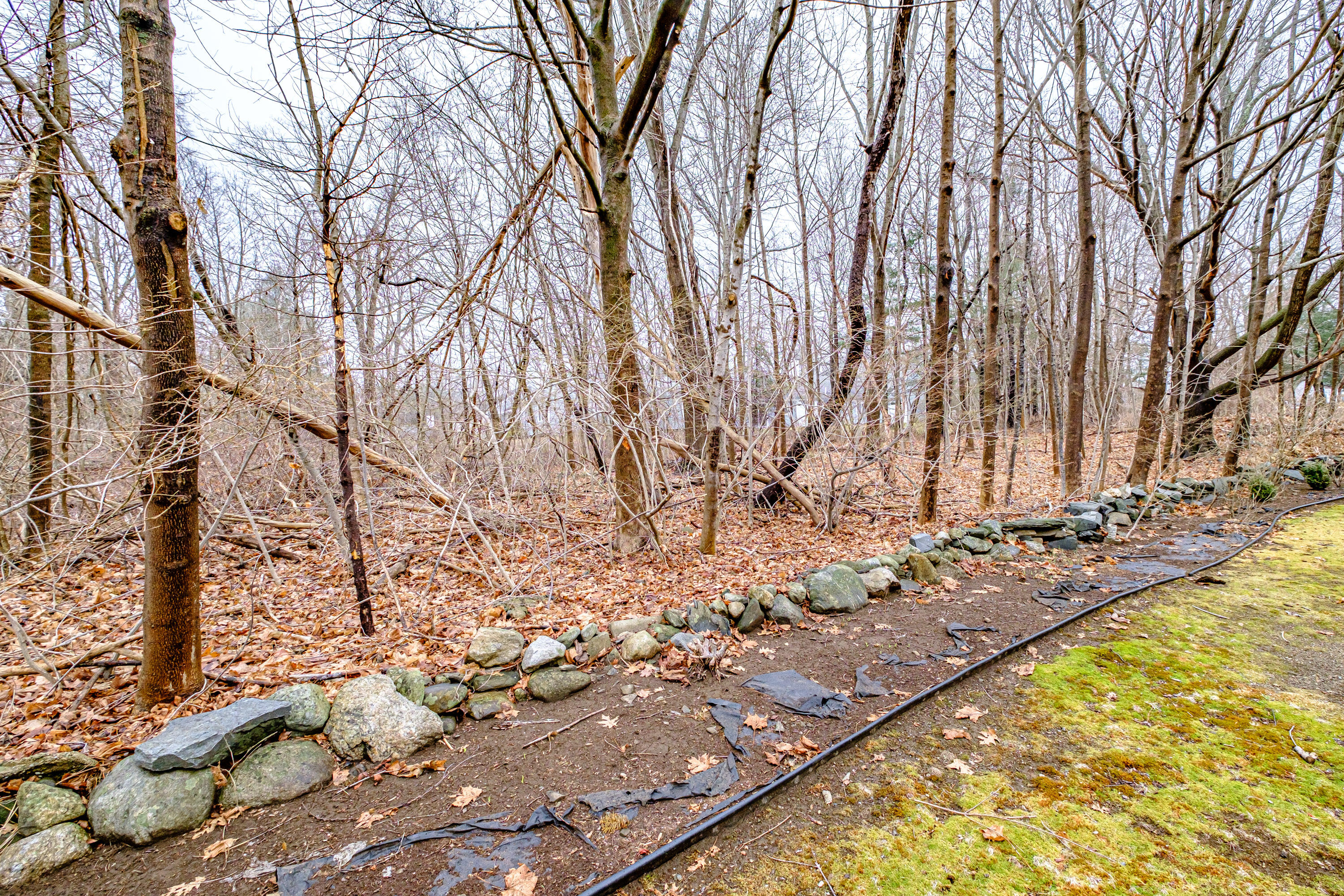 539 Mitchell Road Cape Elizabeth, ME 04107 - Photo 56 of 71 20250317gp-62047
