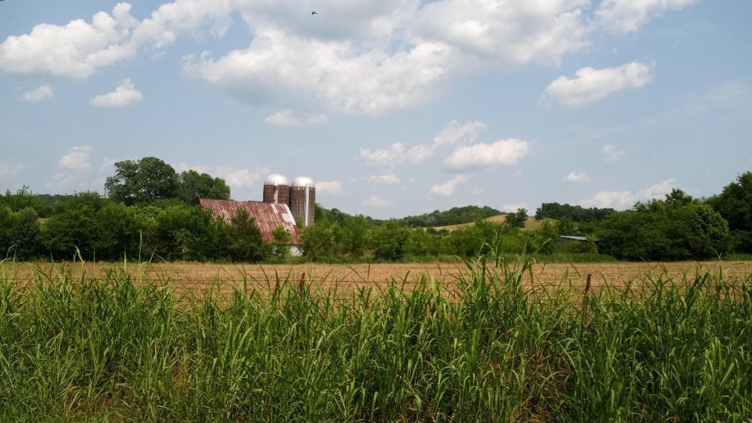 0 Old Bacon Road Northeast Charleston, TN 37310 - Photo 2 of 6