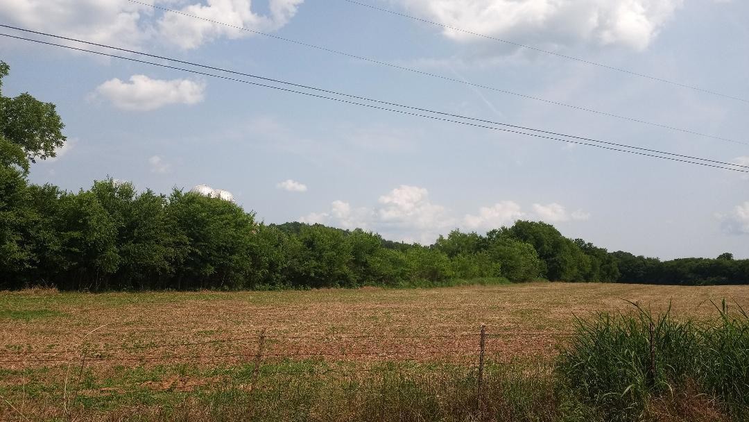 0 Old Bacon Road Northeast Charleston, TN 37310 - Photo 4 of 6