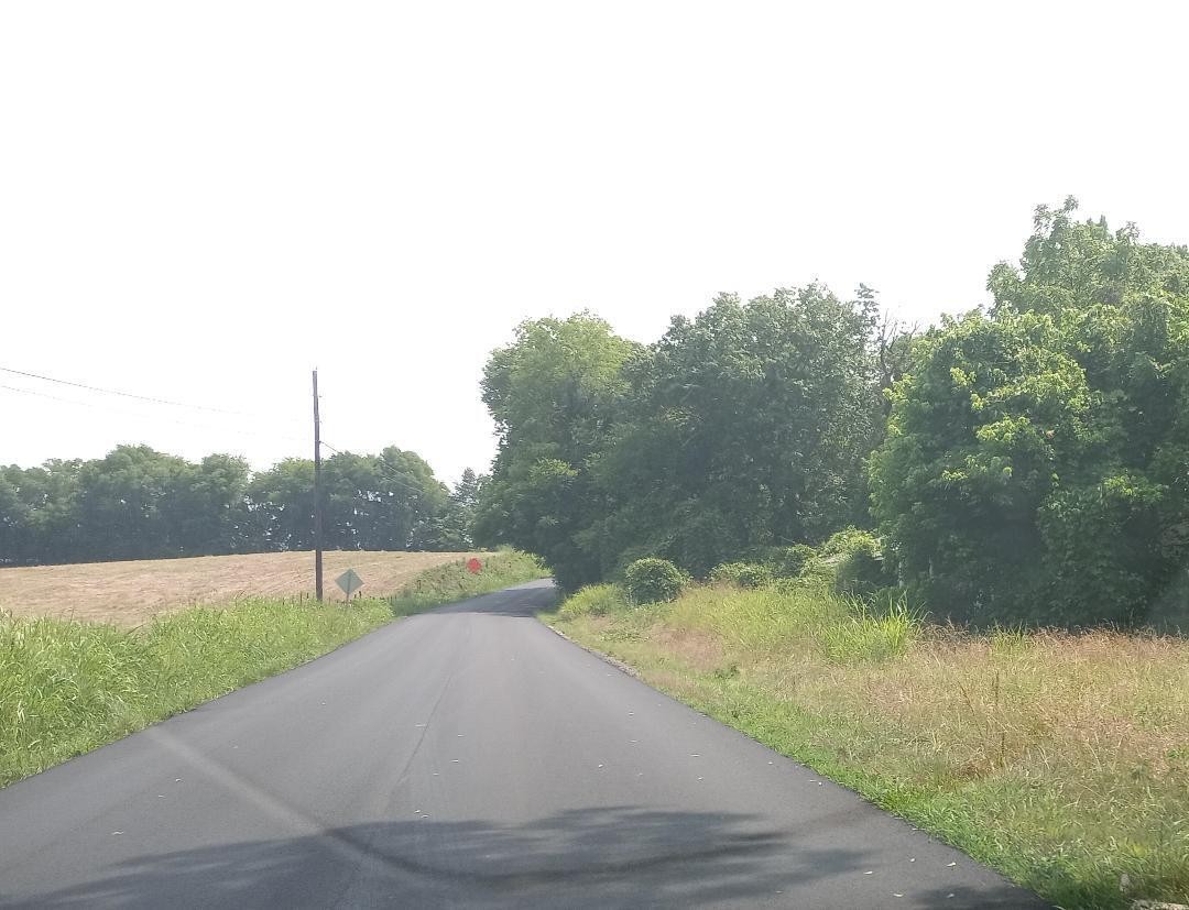 0 Old Bacon Road Northeast Charleston, TN 37310 - Photo 5 of 6