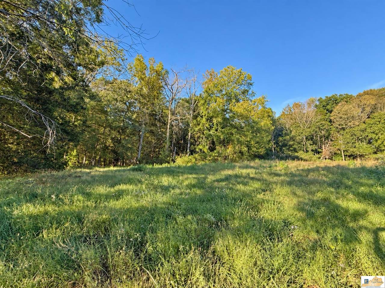 0 Stanley Syra Road Edmonton, KY 42129 - Photo 27 of 28 Gallery Image 27