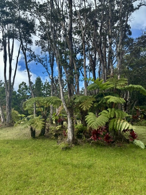 3 Haunani Road Volcano, HI 96785 - Photo 13 of 27 Gallery Image 13
