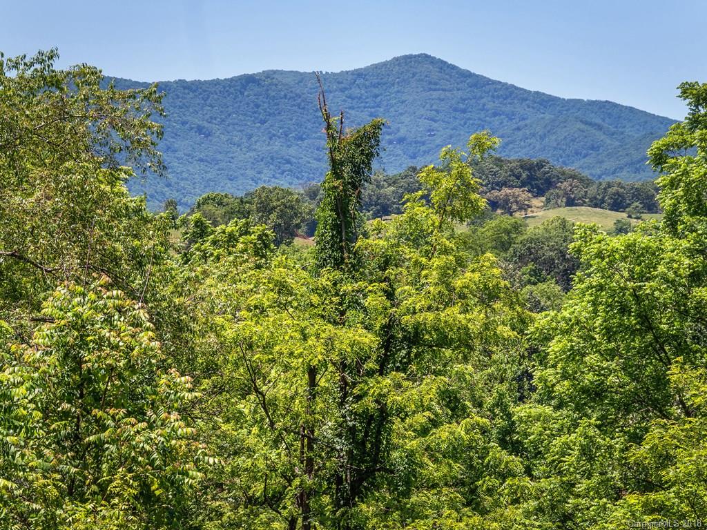 405 Loop Road Clyde, NC 28721 - Photo 11 of 12