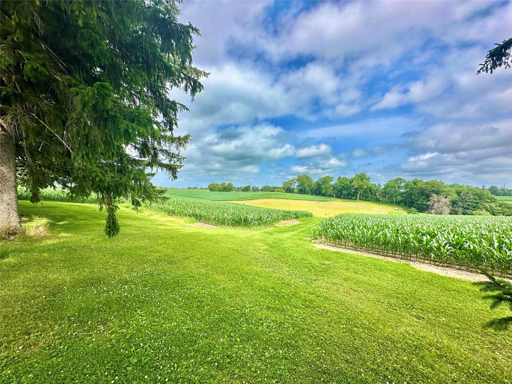 N3236 Nelson Road Stockholm, WI 54769 - Photo 12 of 42